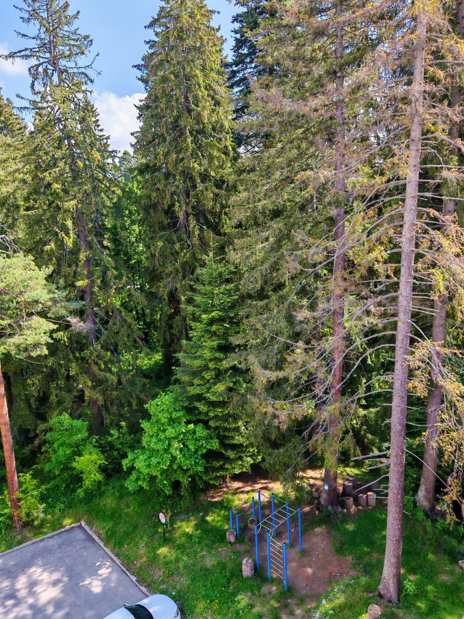 Mountain Studio Asp E63 Borovets Gardens Exterior foto